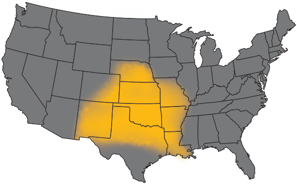 Map of the United States with Kansas, Oklahoma, Arkansas, Missouri, Louisiana, Nebraska, & New Mexico highlighted yellow & colorado & texas partially highlighted.